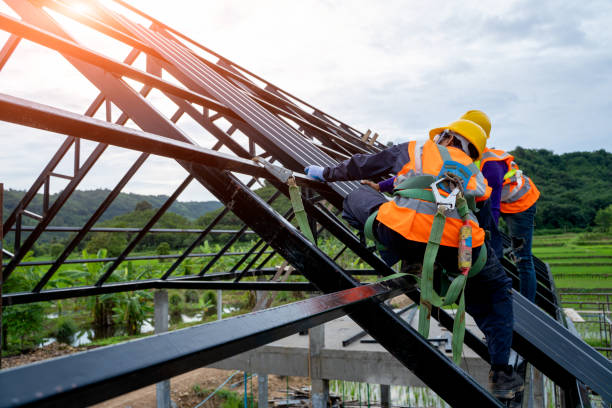 Best Roof Maintenance Services  in Brilliant, AL