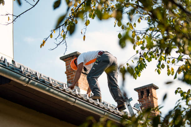 Quick and Trustworthy Emergency Roof Repair Services in Brilliant, AL