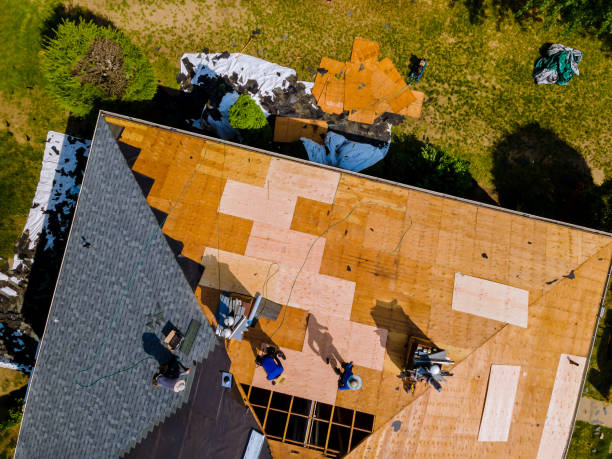 Best Roof Restoration Services  in Brilliant, AL