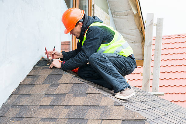 Best Storm Damage Roof Repair  in Brilliant, AL