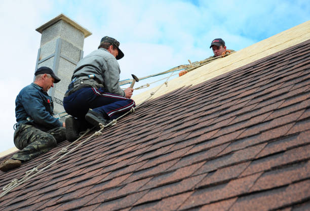 Best Roof Repair Services  in Brilliant, AL